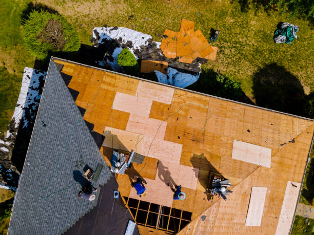 Best Flat Roof Repair Services  in Peabody, KS