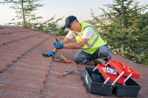 Best Roof Gutter Cleaning  in Peabody, KS